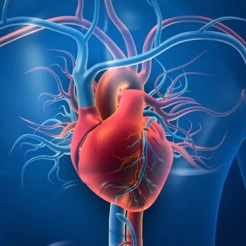 the heart and red light therapy australia